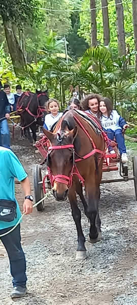 Bicho Mania 2022